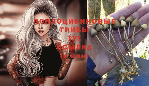 синтетический гашиш Арсеньев