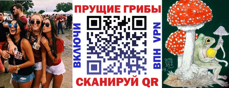 купить закладку  Кущёвская  площадка как зайти  Галлюциногенные грибы мухоморы 